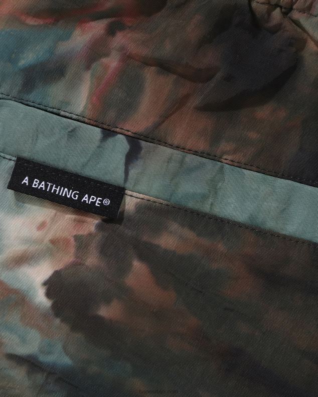 браон мушкарци A Bathing Ape цхусен хибрид лаке кратке хлаче J4280189