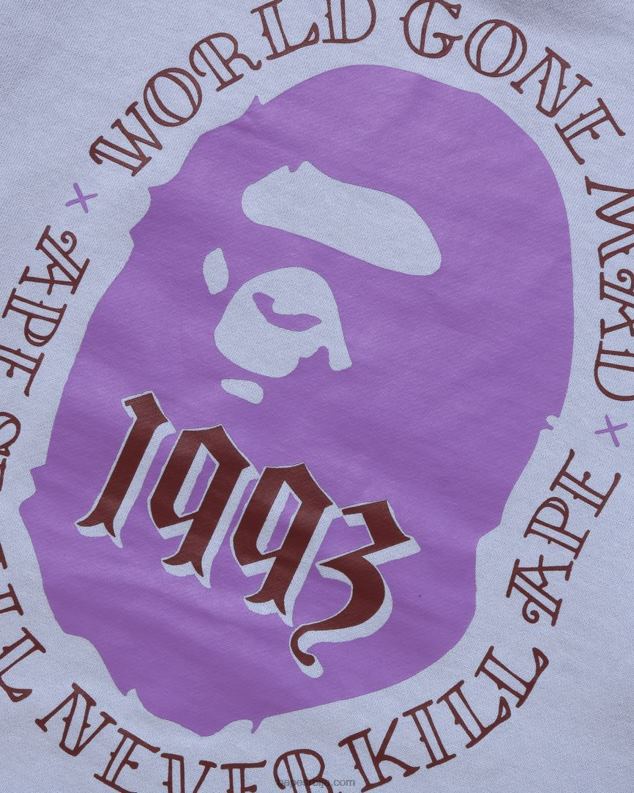 светло плава мушкарци A Bathing Ape пуловер с капуљачом J4280273